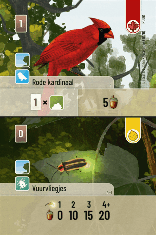 Forest Shuffle NL Exploration - Afbeelding 3